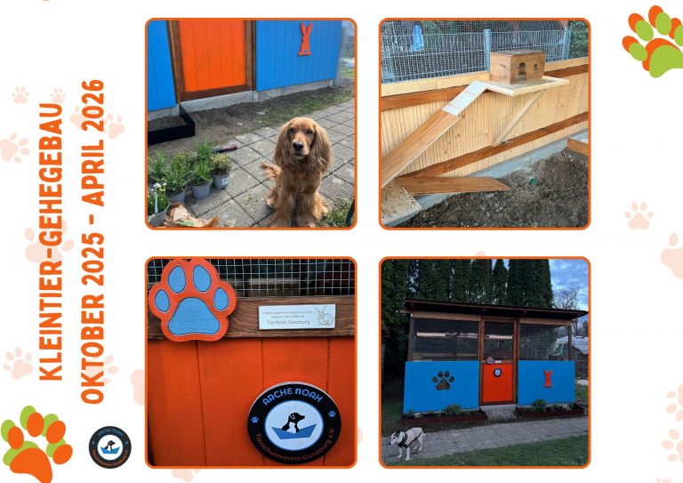 Neues Kleintiergehege im Tierheim Günzburg