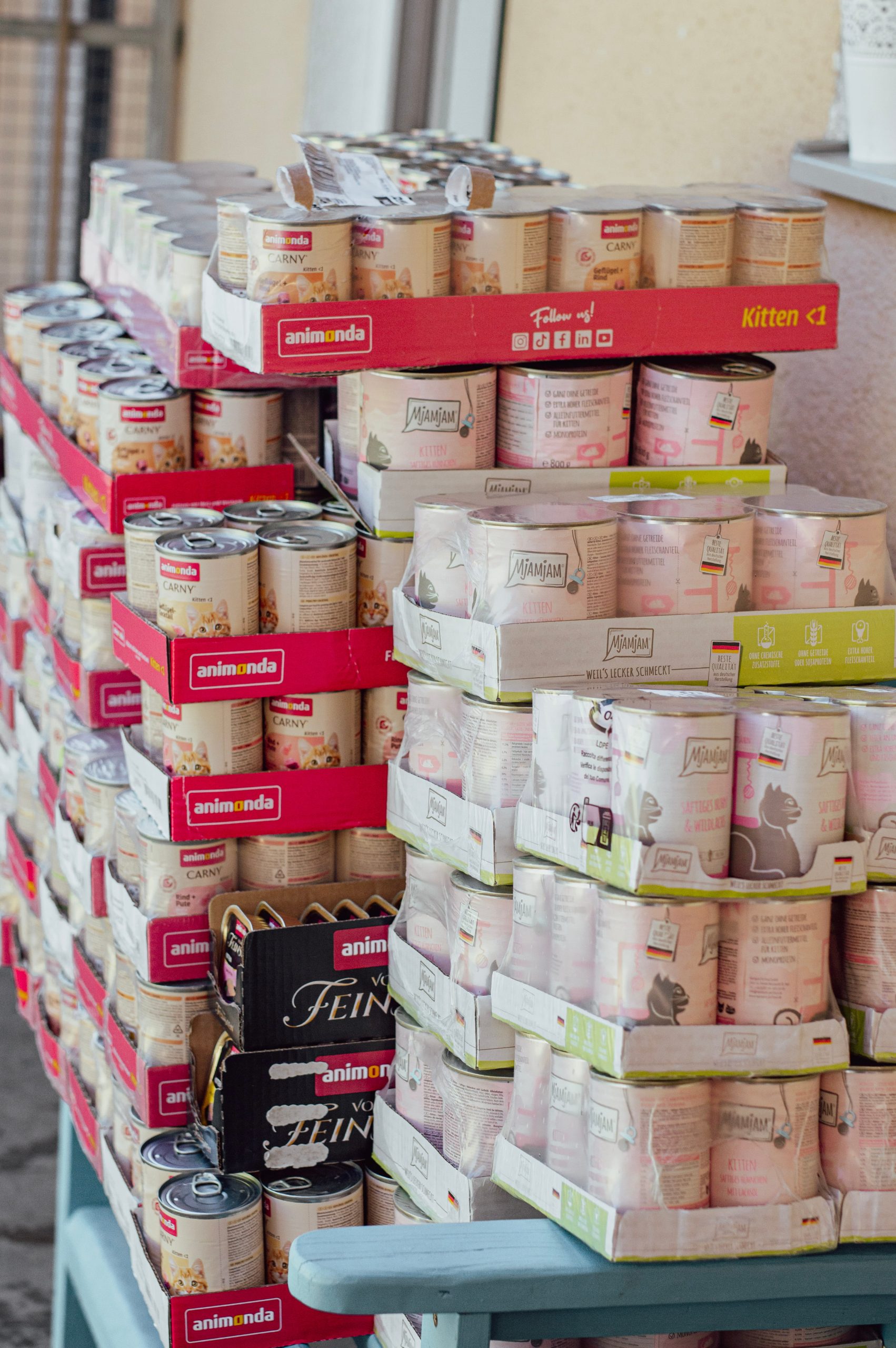 Spenden Kittenfutter