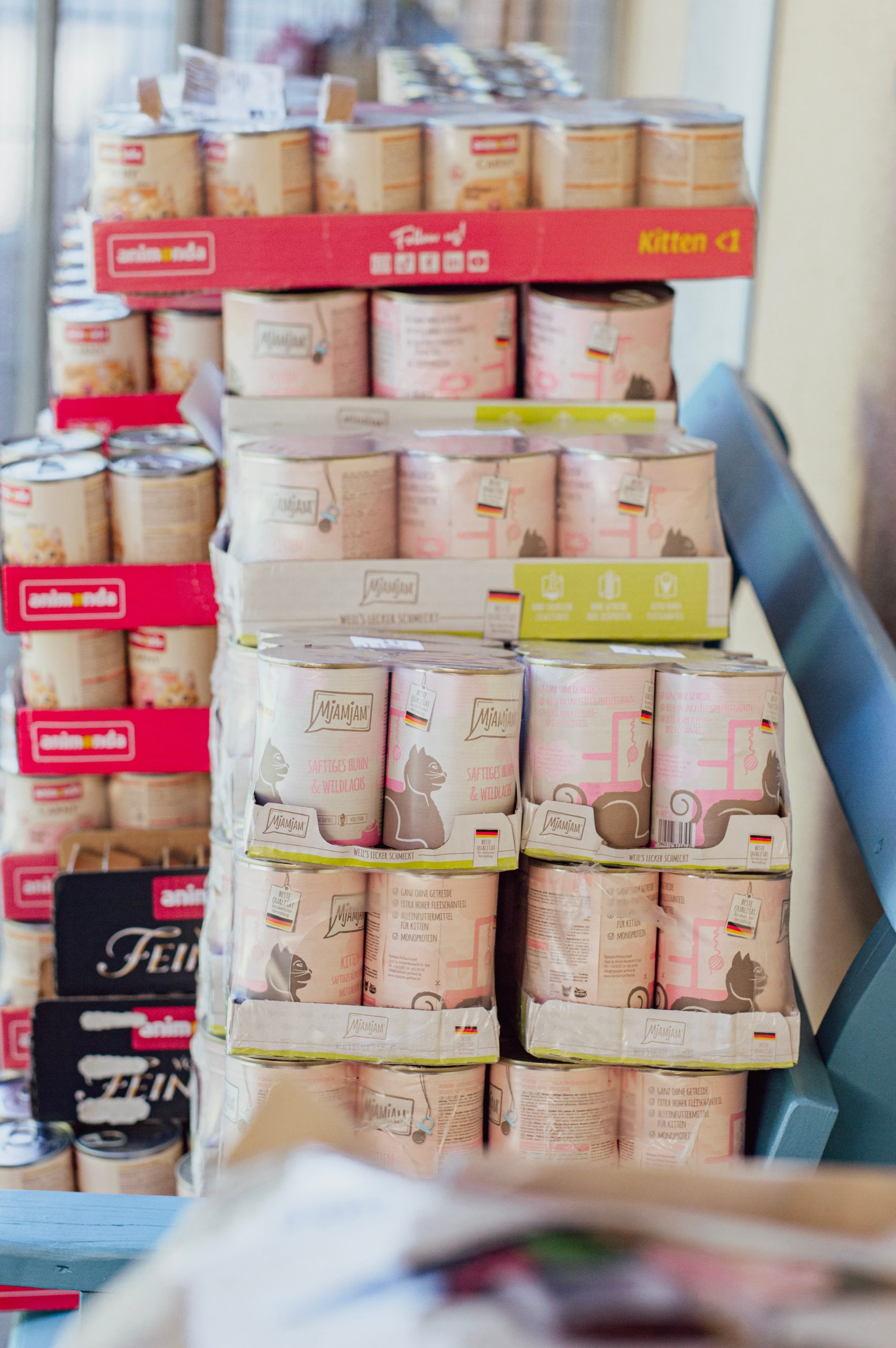 Spenden Kittenfutter