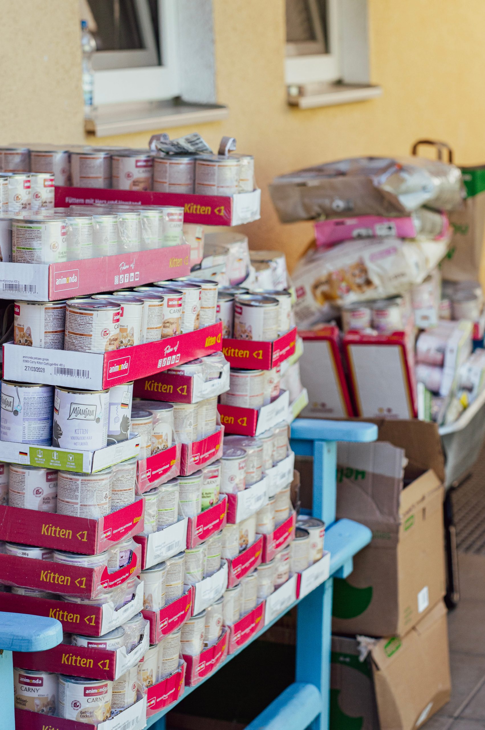 Spenden Kittenfutter