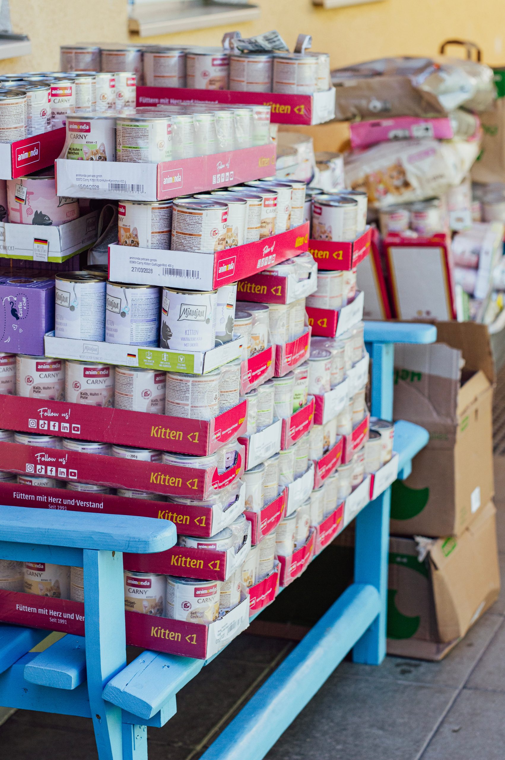 Spenden Kittenfutter